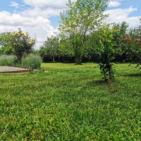Cozy 1 Bed In Near Karnobat Burgas Feriehus Ognen