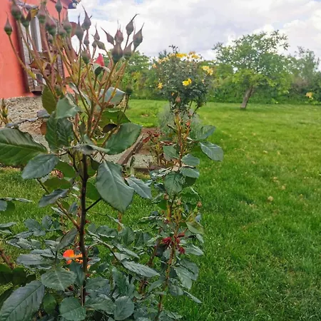 Cozy 1 Bed In Near Karnobat Burgas Feriehus *