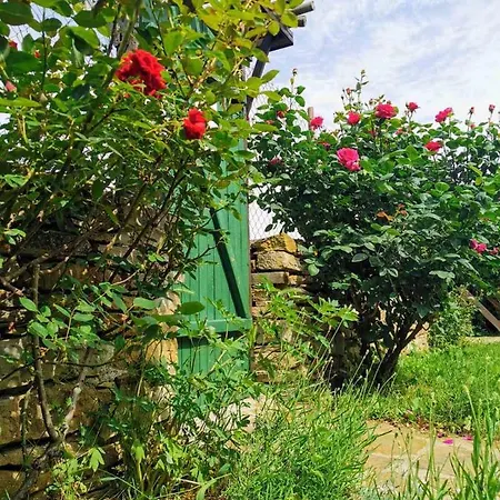 Ваканционна къща Cozy 1 Bed In Near Karnobat Burgas *