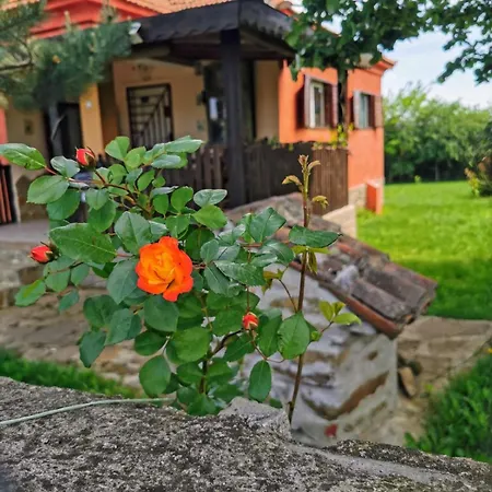 Cozy 1 Bed In Near Karnobat Burgas Ваканционна къща